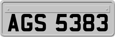 AGS5383