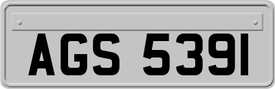 AGS5391