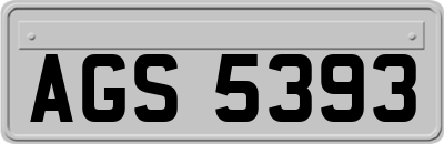 AGS5393
