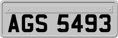 AGS5493