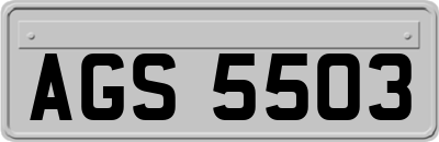 AGS5503