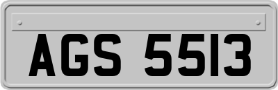AGS5513