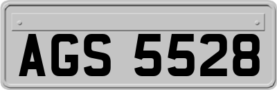 AGS5528