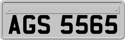 AGS5565