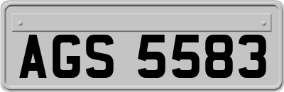 AGS5583