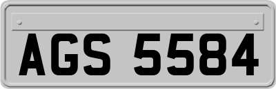AGS5584