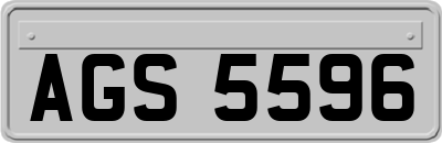 AGS5596
