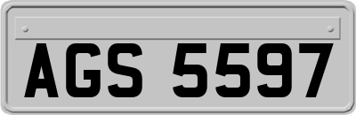 AGS5597