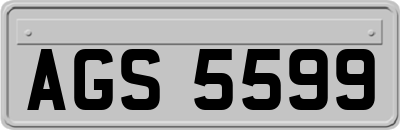 AGS5599