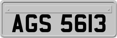 AGS5613