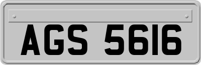 AGS5616