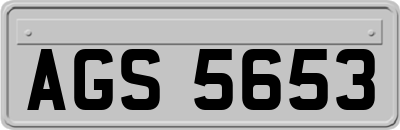 AGS5653