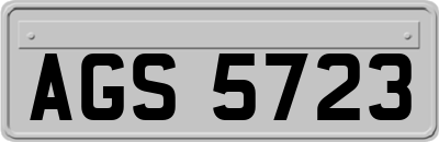 AGS5723