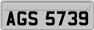 AGS5739