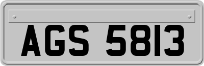 AGS5813
