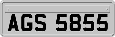 AGS5855