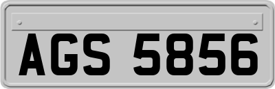 AGS5856