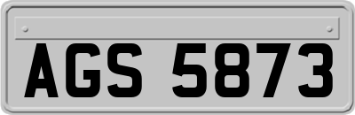 AGS5873