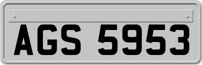 AGS5953