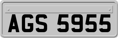 AGS5955