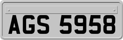 AGS5958