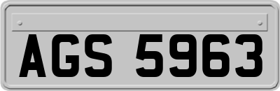 AGS5963