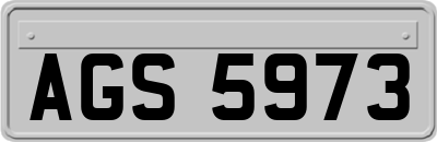 AGS5973