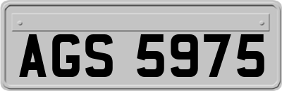 AGS5975