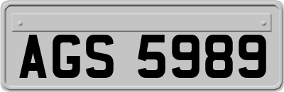 AGS5989