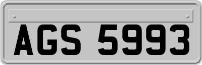 AGS5993