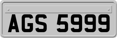 AGS5999