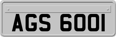 AGS6001