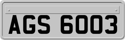 AGS6003
