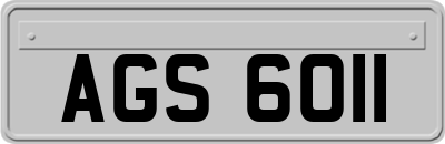 AGS6011