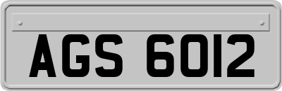 AGS6012