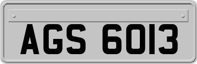 AGS6013
