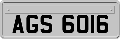 AGS6016