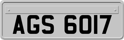 AGS6017