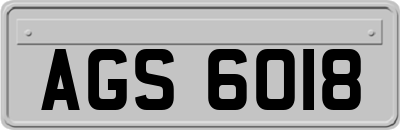 AGS6018