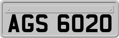AGS6020