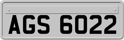 AGS6022