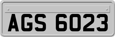 AGS6023