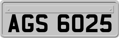 AGS6025