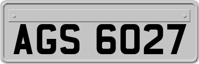 AGS6027