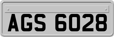 AGS6028