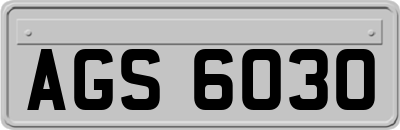 AGS6030