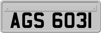 AGS6031