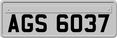 AGS6037