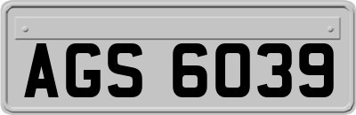 AGS6039
