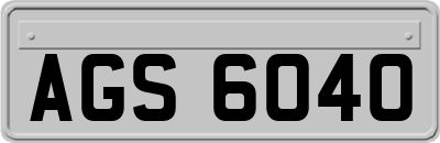 AGS6040